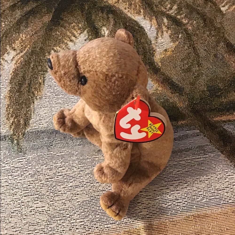 TY beanie babies Pecan bear brown BD 4/15/99. Clean bad protected
